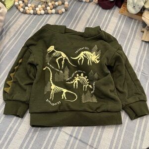 Kids Dinosaur Sweatshirt - Green